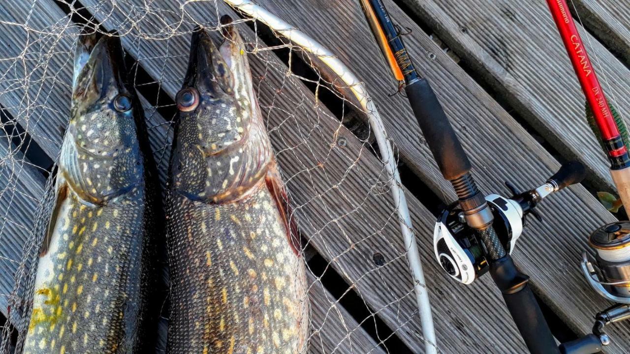 Kalurikula Fishing Village Pärnu Exteriér fotografie